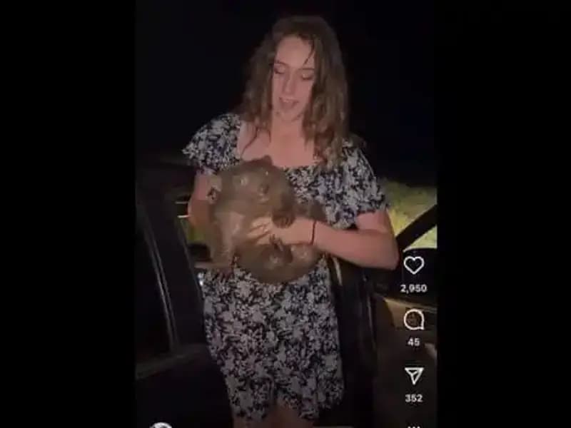 Yavruyu Anneden Ayıran Güvenlik Görevlisi, Ülkeyi Terk Etmek Zorunda Kaldı