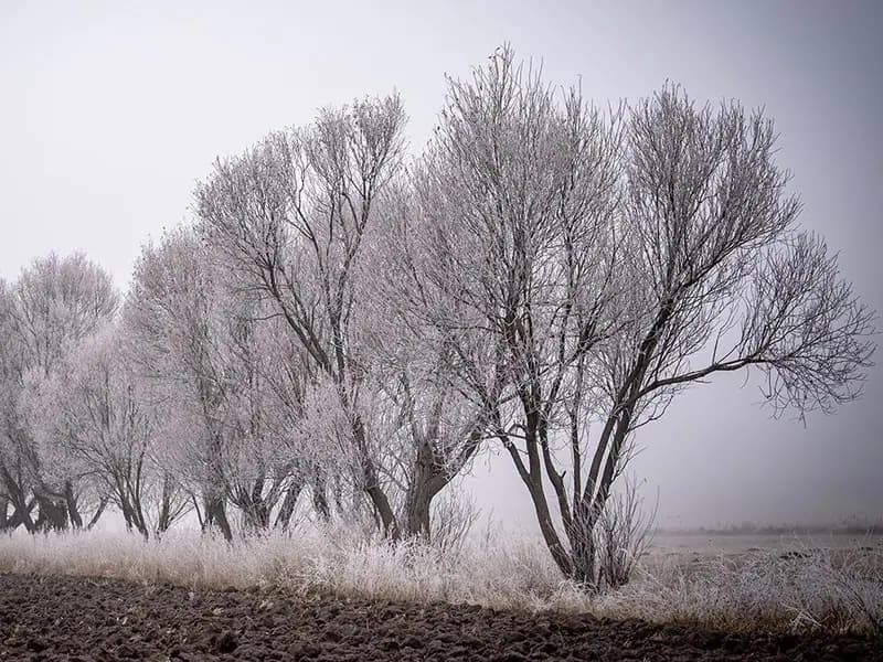 Doğu Anadolu'da Şiddetli Soğuk Hüküm Sürüyor
