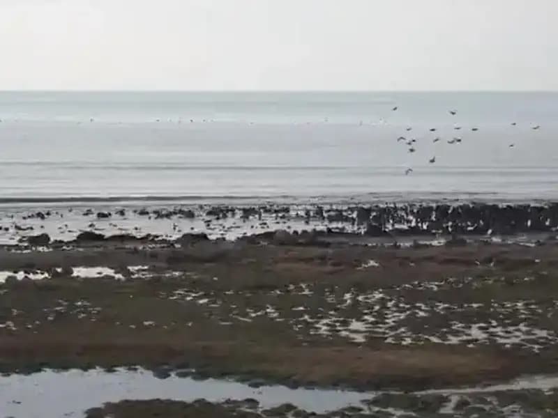 Türkiye’nin En Büyük Gölü Tehlikede: Su Kaybı Alarm Veriyor!