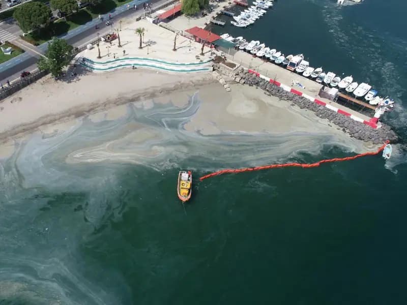 Müsilaj Bilim Kurulu, Olası Çözüm Yollarını Tartışacak