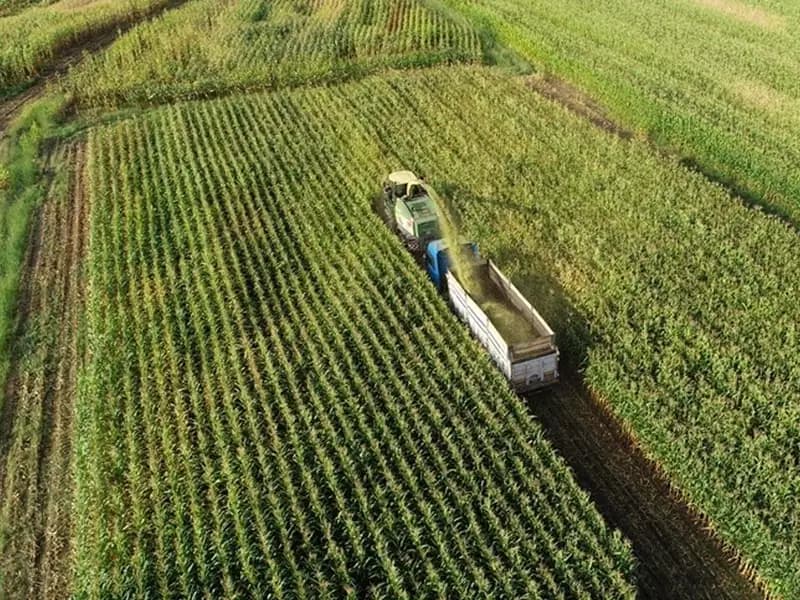 Üreticilere 2,3 Milyar Lira Destekleme Ödemesi Yapılacak