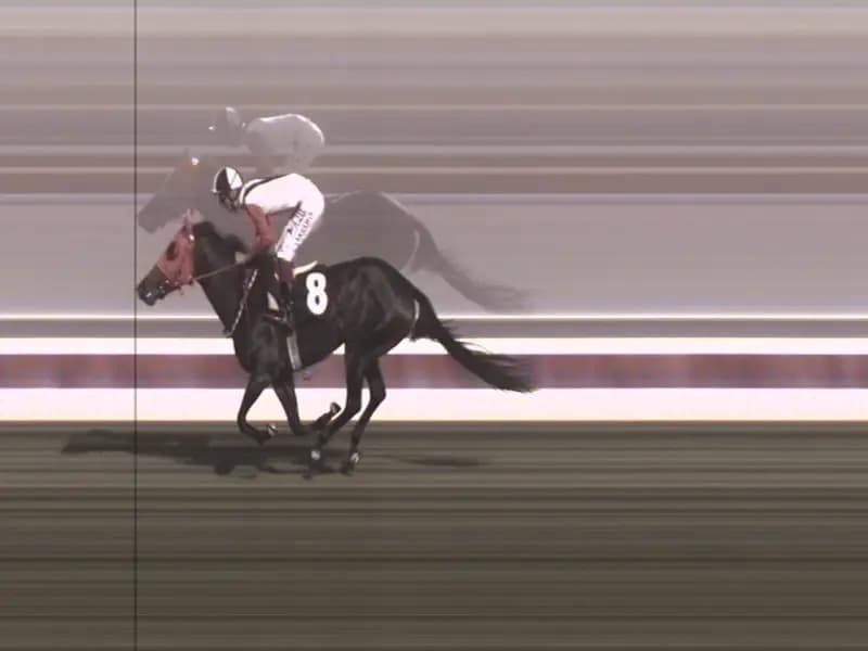 Mersin'de Kavurmada Bulunan At Eti, Yarış Atına Ait Çıktı