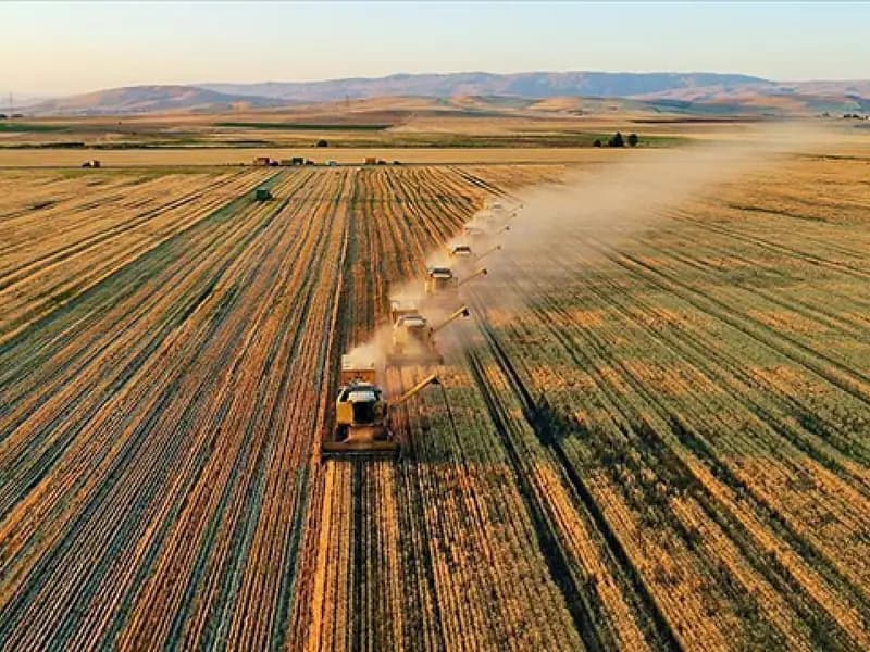 Tarımsal Destekleme Ödemeleri Hesaplara Aktarılıyor