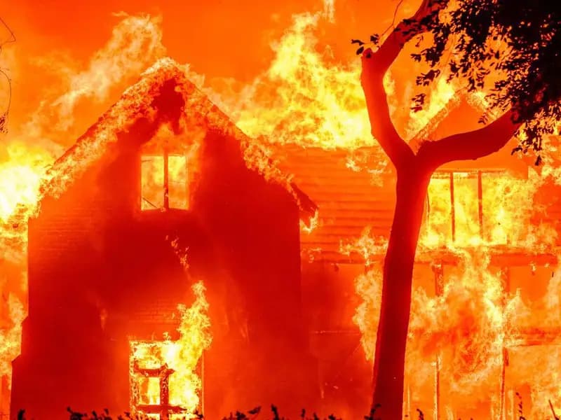 Los Angeles'taki yangınlar: Elektrik dağıtım şirketine dava açıldı