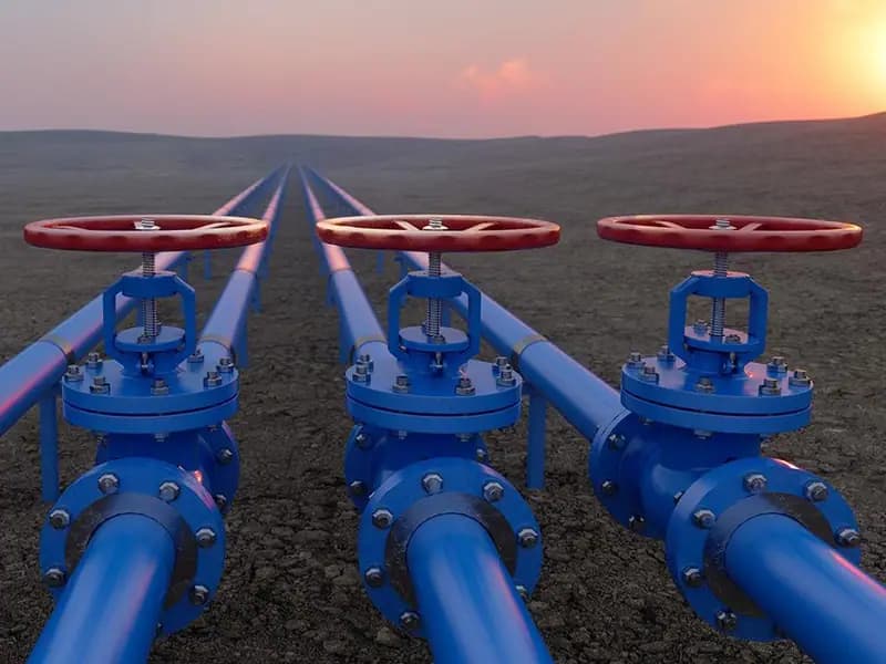 Türkiye Doğal Gaz Arzı ve Talebi