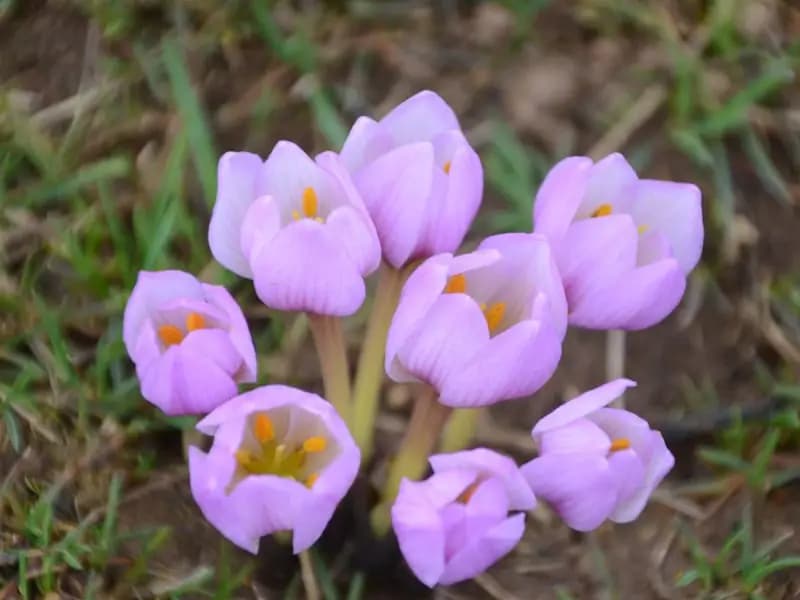 Biyolojik Kaçakçılara 41,5 Milyon Ceza!