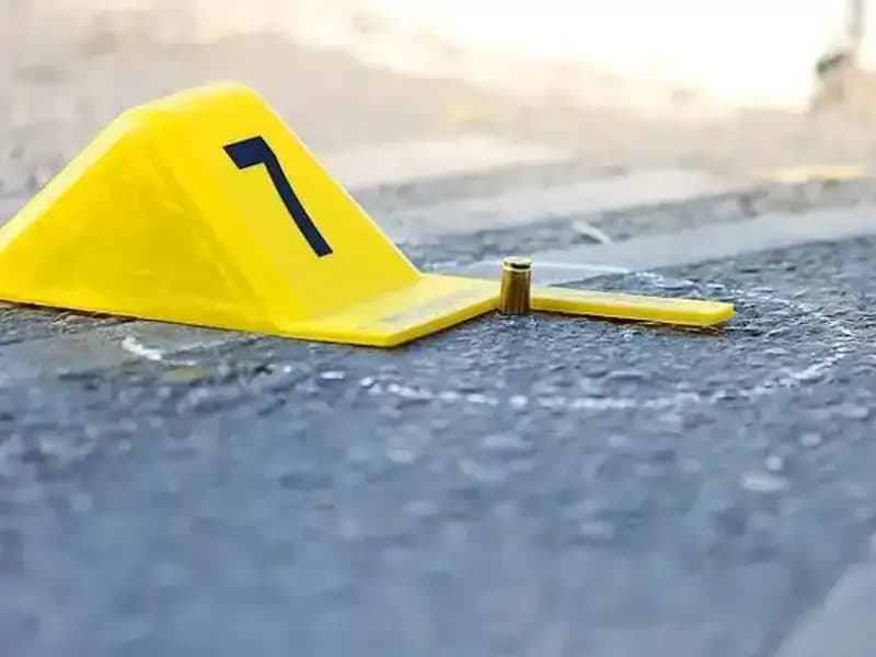 2024 Yılında 394 Kadın Cinayeti: Yasalar Yetersiz Mi?