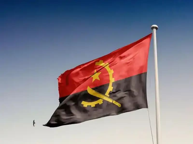 Angola'ya Girişi Yasaklanan Siyasiler: 20 Kişi Gözaltına Alındı