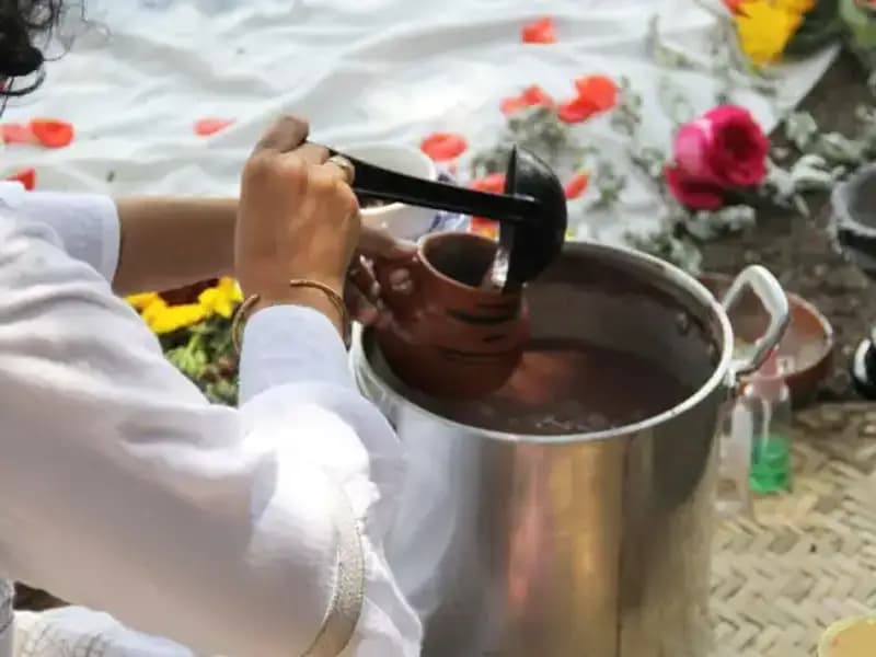 Ayahuasca: Şifa Arayıcıları İçin Yasaklar ve Gerçekler