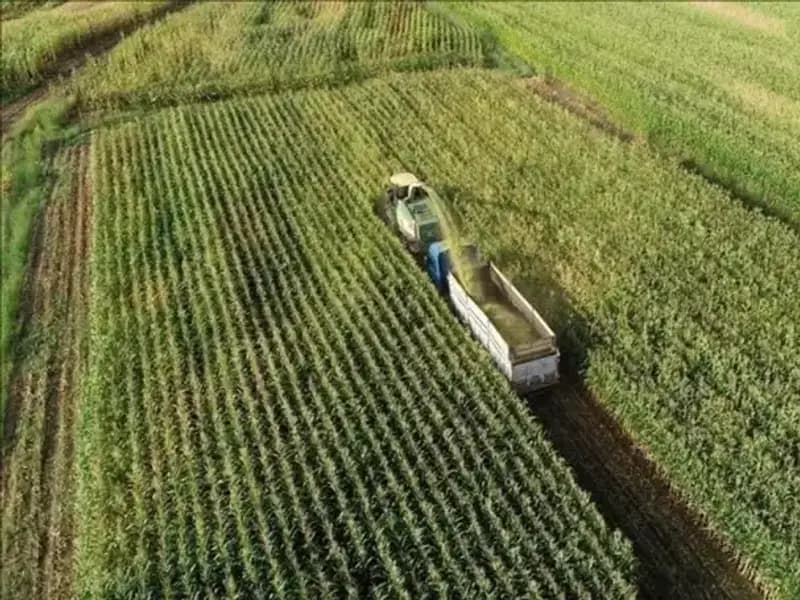 Mazot ve Gübre Desteği Ödemeleri 2025 Mart: Son Durum ve Beklentiler