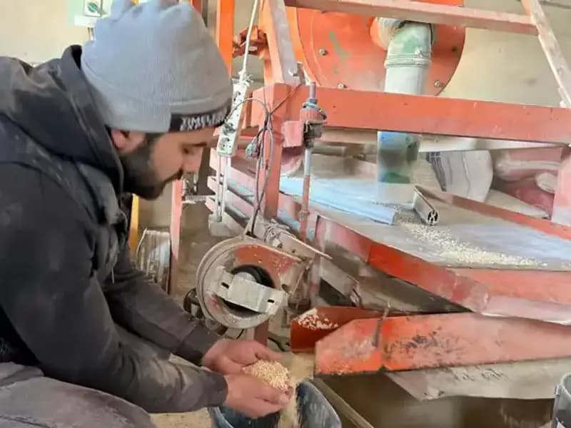 Bahar Mevsiminde Yaşam Nasıl Değişiyor? Çalışma Hayatı Etkileniyor!