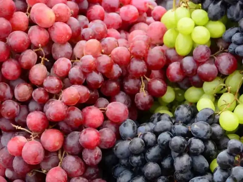 Yeşil Üzüm Mü, Siyah Üzüm Mü? Hangi Tercih Daha Sağlıklı?