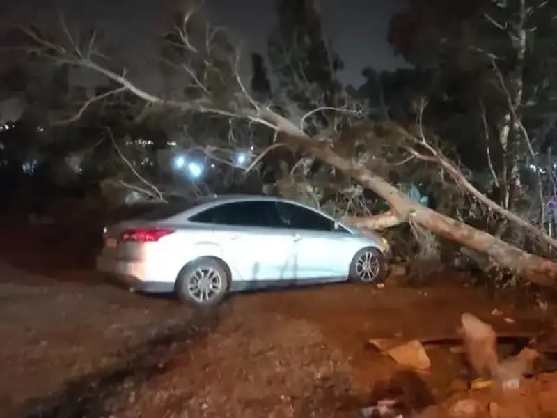 Hatay'daki Fırtına Hayatı Felç Etti: Tekneler Alabora, Ağaçlar Devrildi