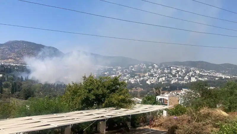 Muğla'daki Orman Yangınları Kontrol Altında: Son Durum ve Önlemler