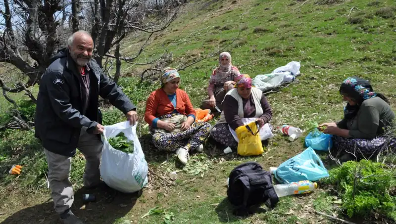 Yüzlerce Aile İçin Geçim Kaynağı: Tam 5 Saat Yürüyüş Sonrası 250 Lira!