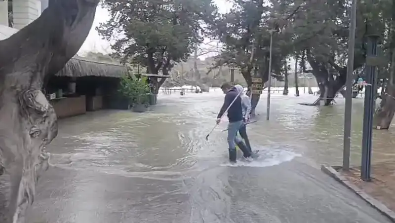 Manavgat Irmağı'ndaki Yükselen Sular, İşletmeleri Zora Soktu