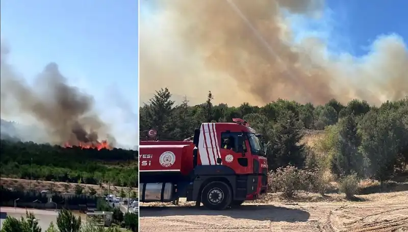 Gebze'de Orman Yangını: Doğanın Kalbine Kayıp Bir Darbe Daha