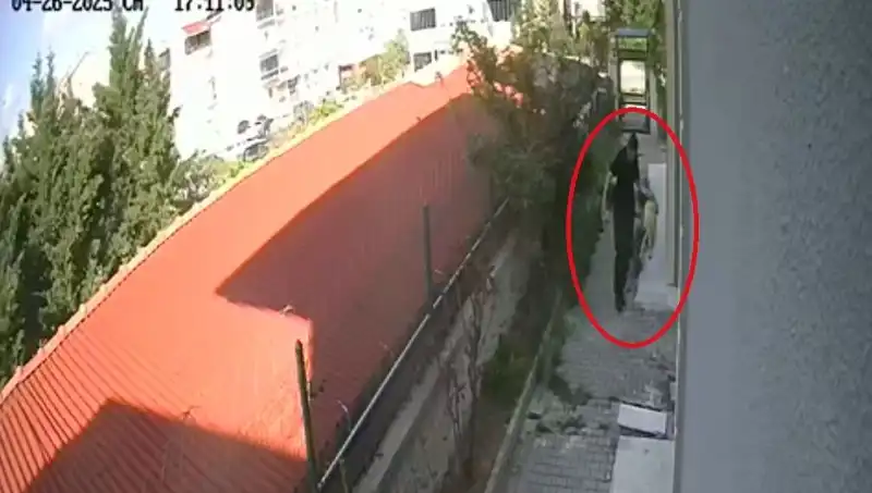 Veteriner Doktorun Korkunç Suçuyla Türkiye Şokta: Köpekleri Katletti!
