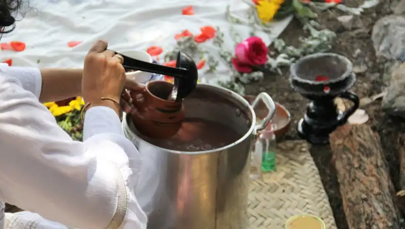 Ayahuasca: Şifa Arayıcıları İçin Yasaklar ve Gerçekler
