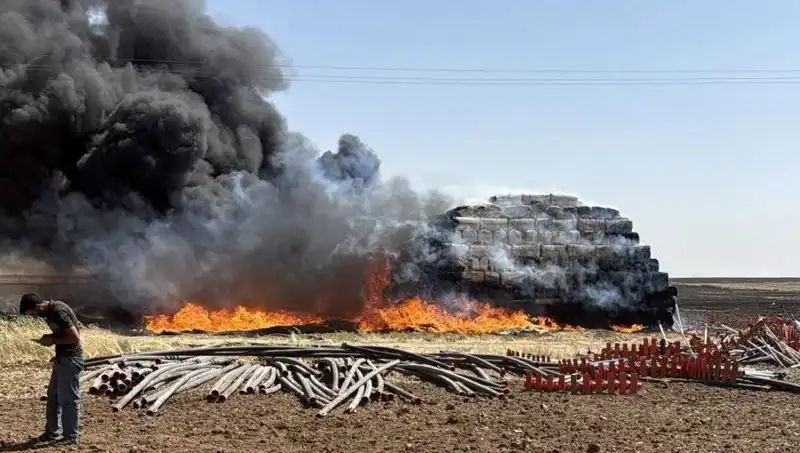Mardin'de Anız Yangınları: Tarım Alanlarını Tehdit Eden Büyüyen Bir Sorun