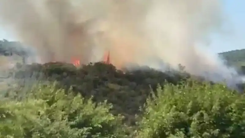 İstanbul'da Çıkan Orman Yangınında Vatandaşlar Tahliye Edildi: Neler Oluyor?