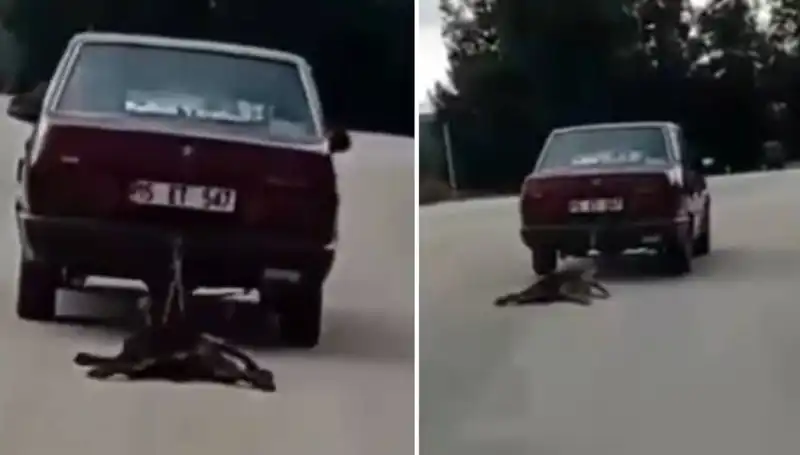 Sürücü ve Köpeğin Trajik Yolu: Otomobilin Arkasında Sürüklenen Hayvan