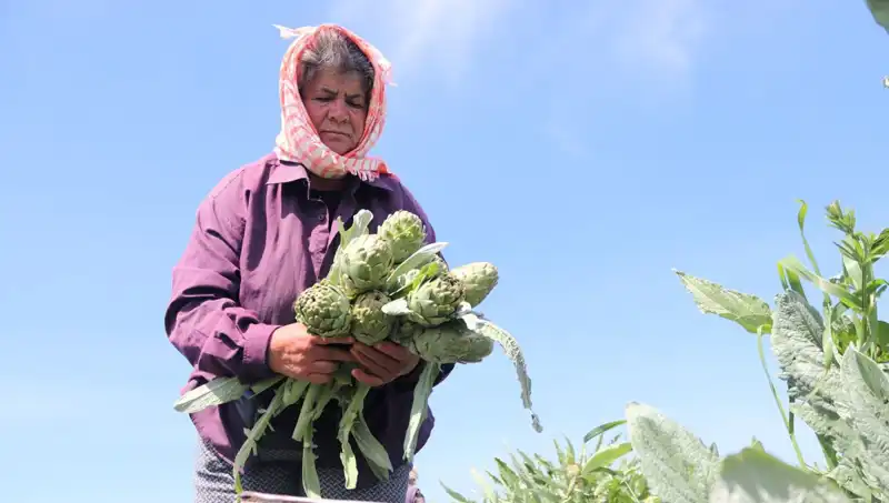 Tarladan Sofralara: Lüks Marketlerdeki 50 TL'lik Üretimler Neden Bu Kadar Pahalı?