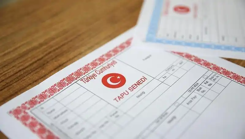 100 Milyonluk Çark: "Hisseli Tapu" Yalanıyla Kurulan Tuzak Deşifre Edildi