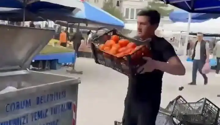 Domatesleri Çöpe Dökerek Cezayı Uçuran Pazarcının Hikayesi