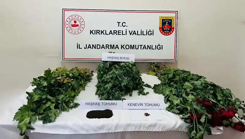 Kırklareli'nde Uyuşturucu Operasyonu: 8 Gözaltı ve Detaylar