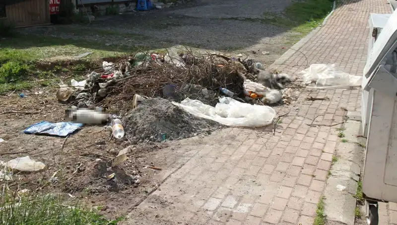 Antalya'da Kedi Katliamı: Onlarca Hayvanın Ölümüyle İlgili Soruşturma Başlatıldı