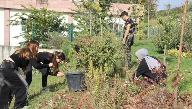 Düzce'nin Yeteneği: Hayalleri Gerçeğe Dönüştüren Girişimci Hikayesi