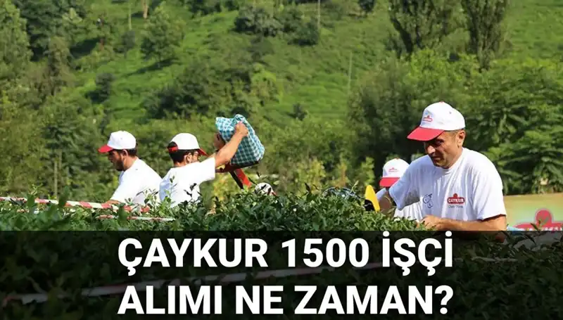 Çaykur İşçi Alımı Başvuru Tarihleri Açıklandı: Fırsatlar Kapıda!