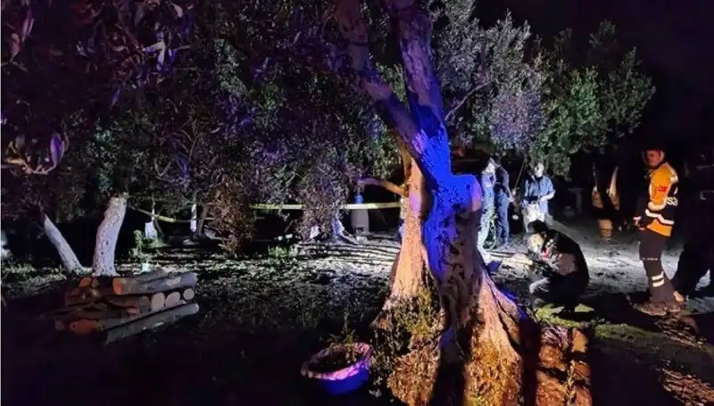 Çiftlikteki Baltalı Vahşetin Ardındaki Gizem: Bir Tutuklama Gerçekleşti!