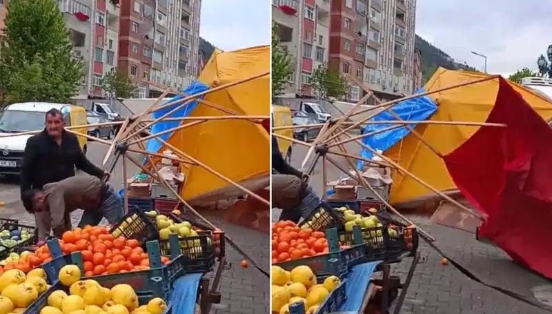 Artvin'de Fırtına Sonrası Yaşanan Bağışıklığı Artıracak Etkiler