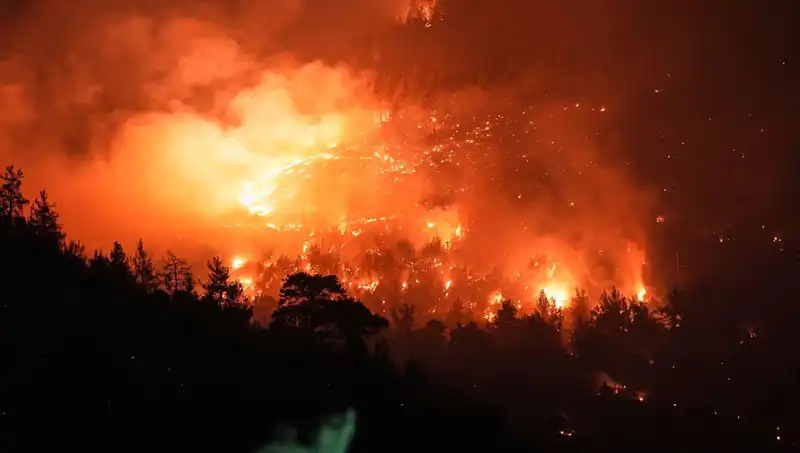 Bursa-Balıkesir Sınırında Yangın: Ekipler Mücadelede Son Noktaya Geldi