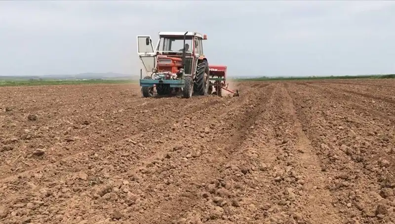 Son Yılların En Kurak Mart Ayı: Türkiye'de Yağışlar Tarih Yazdı