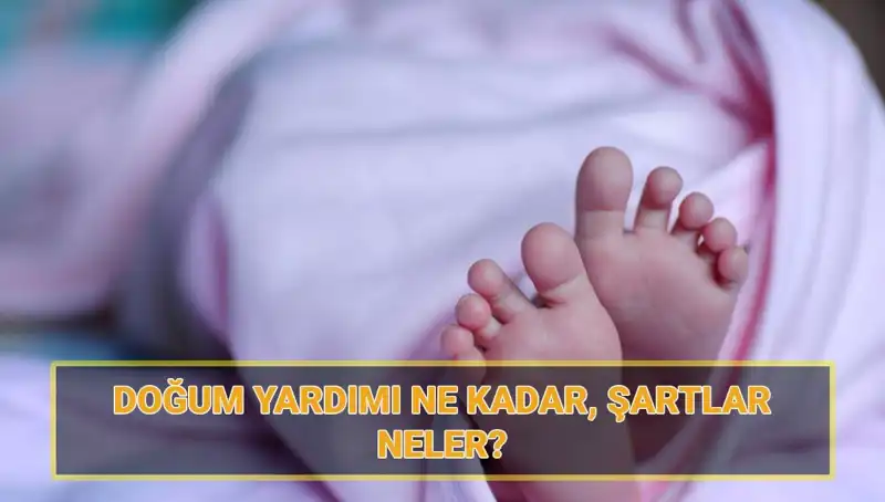 2025 Doğum Yardımı Başvuru Ekranı: Çocuk Parası Nasıl Alınır?