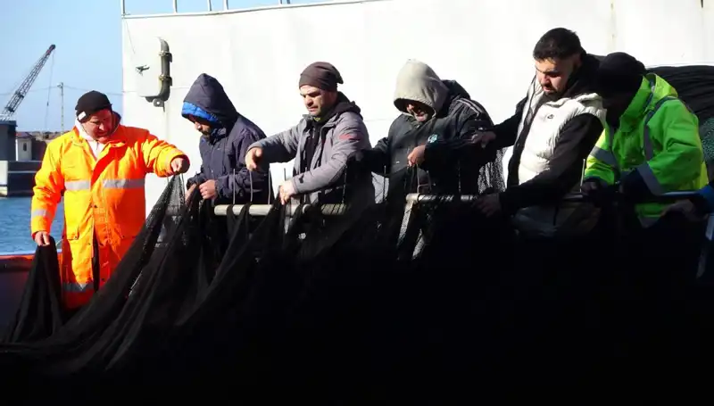 Hamsi Avı Sonlandırıldı: Balıkçılar Erken Sezonu Kapadı