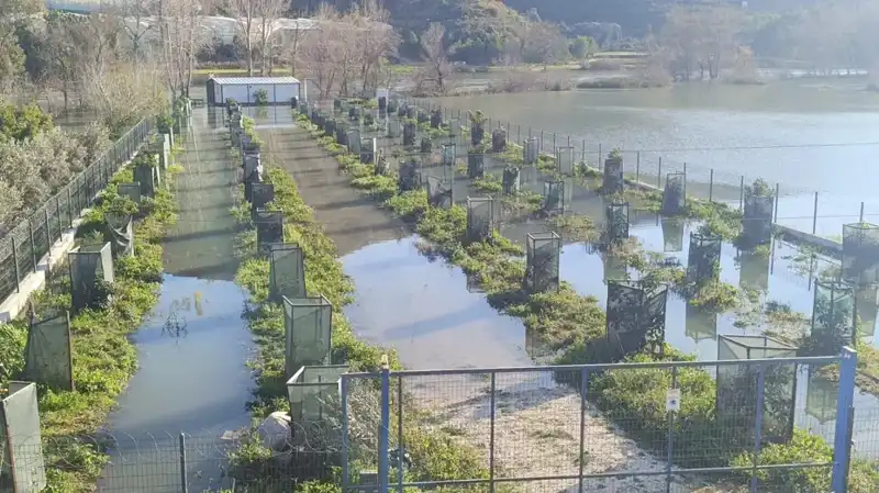 Irmak Taşması Sonrası Otoyol Şantiyesinde Eşine Az Rastlanan Manzaralar