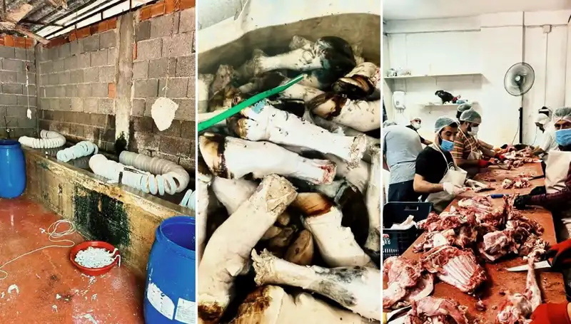 Adana’da Şok Eden Olay: Yüzlerce Kilo Paça Elden Gidiyor!