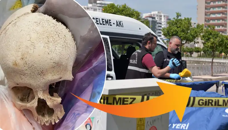 Sitenin Çöpünden Çıkan Kafatası: Şok Edici Olayda Uzman Doktor Gözaltına Alındı!