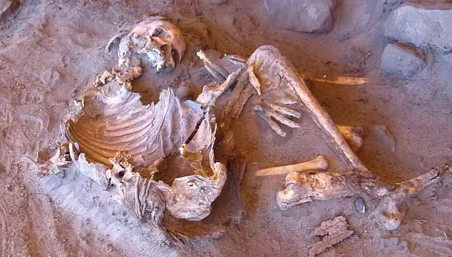 Yeni Mumya Keşfiyle İnsanlığın Soy Ağacı Yeniden Yazılıyor