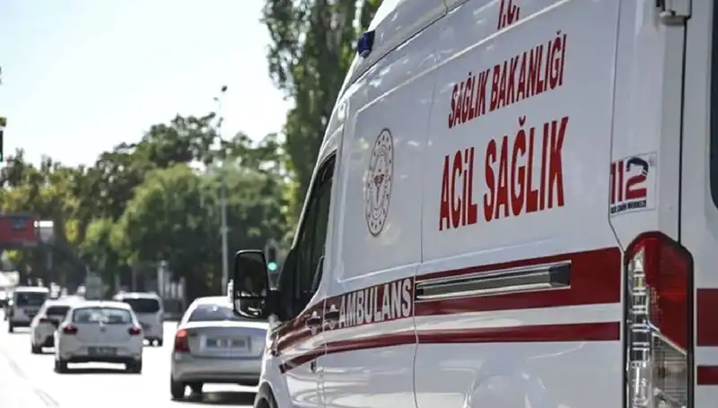 Böcek Korkusu Yüzünden Apartman Tahliye Edildi: Olayın Ayrıntıları