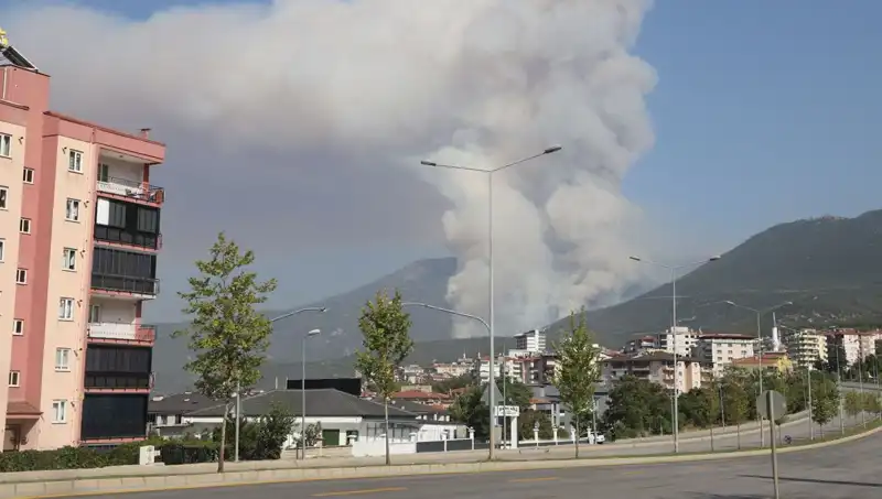 Denizli'de Orman Yangını: Şüpheli Gözaltında, Halk Tedirgin