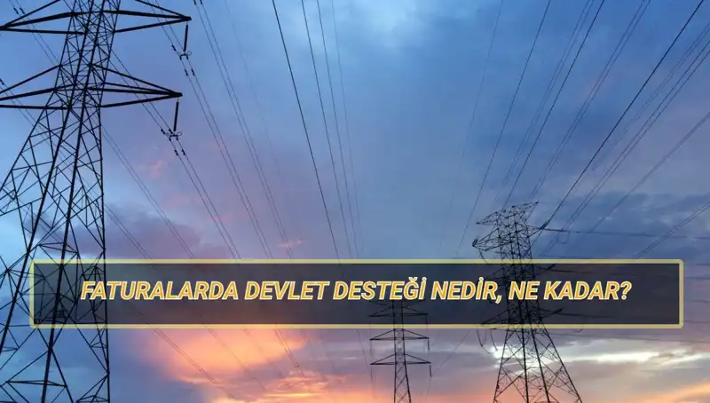 2025'te Doğalgaz ve Elektrik Faturasına Devlet Desteği: Kimler Faydalanabilir?