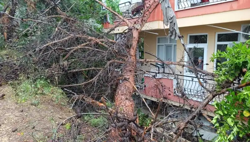 Yağmur Sonrası Felaket: Bina Devrildi, Hayatları Etkiledi!